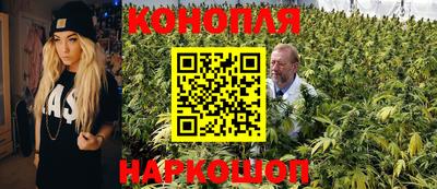 jwh Аргун