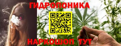 jwh Аргун