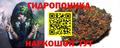 jwh Аргун