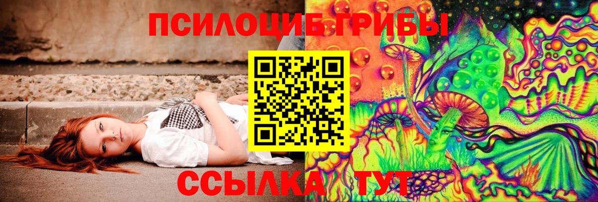 Ачхой-Мартан  магазин  наркотиков  Вход с VPN  Псилоцибиновые грибы Cubensis 