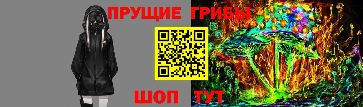 Галлюциногенные грибы мицелий  Ачхой-Мартан  Галлюциногенные грибы MAGIC MUSHROOMS 